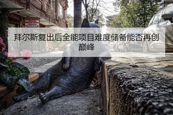 bai-er-si-fu-chu-hou-quan-neng-xiang-mu-nan-du-chu-bei-neng-fou-zai-chuang-dian-feng-3-101.jpg